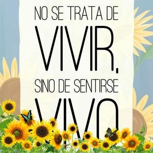 Meet your Posher, Miriam